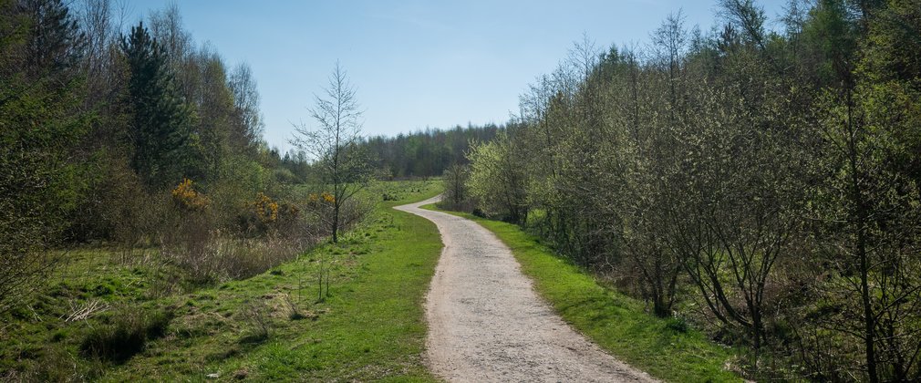 Footpath through trees at Sutton Manor