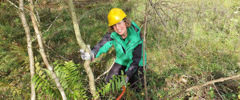 A woman wearing a green jacket and yellow hard hat crouches outdoors near some young trees.