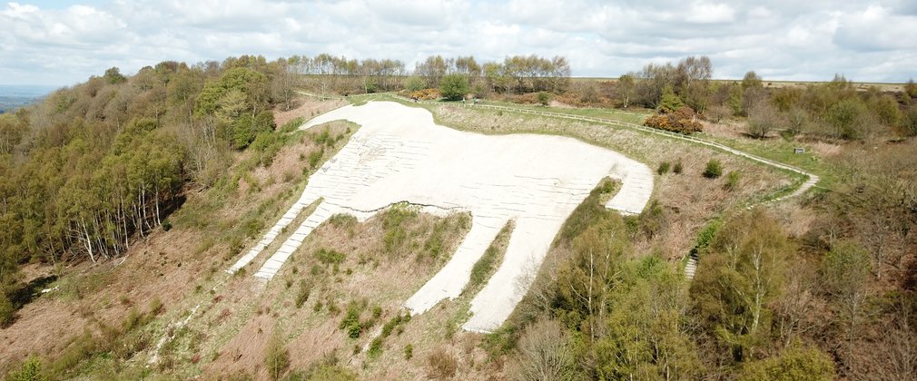 A white horse made from stone on a hillside