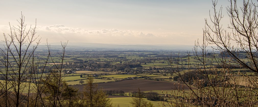 A view across an open valley with small villages and towns in the distance. With tops of trees in the foreground