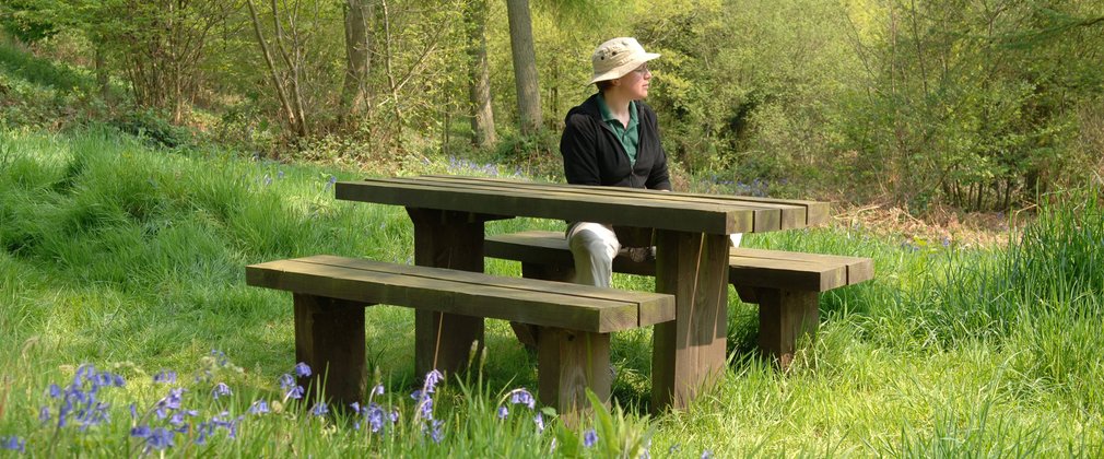 A individual sitting on a picnic table within bluebells