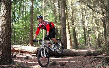 Individual mountain biking over rocks in the forest