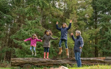 Children jumping off a tree trunk in the forest