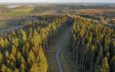 An aerial view of Flashdown Plantation at Eggesford Forest with Hilltown Wood in the background