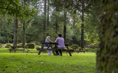 A couple sitting at a picnic bench in a conifer forest