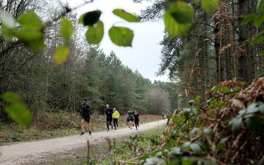 Sherwood Pines Running 5k