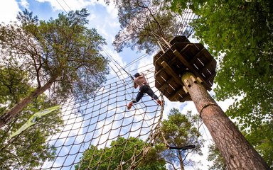 Go ape tree top adventure wendover woods 