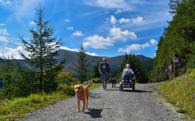 A dog walking along a trail with two adults behind - one walking and one using an off-road mobility scooter
